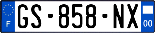 GS-858-NX