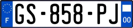 GS-858-PJ