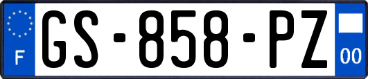 GS-858-PZ