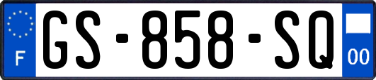 GS-858-SQ