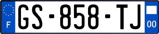GS-858-TJ