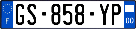 GS-858-YP
