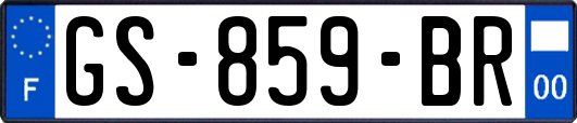 GS-859-BR