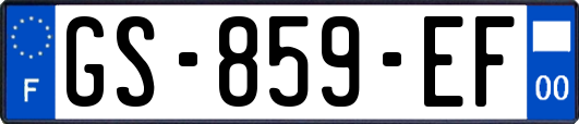 GS-859-EF