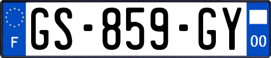 GS-859-GY