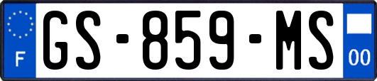 GS-859-MS