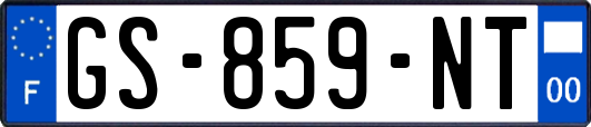 GS-859-NT