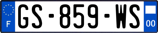 GS-859-WS