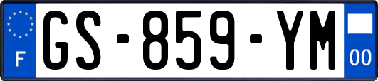 GS-859-YM