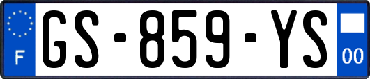 GS-859-YS