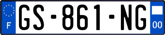 GS-861-NG