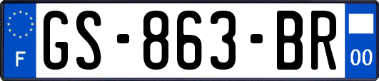 GS-863-BR