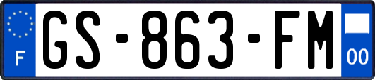 GS-863-FM