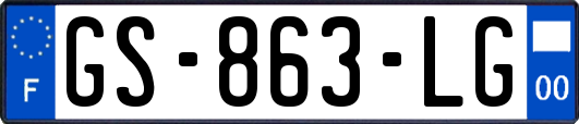 GS-863-LG