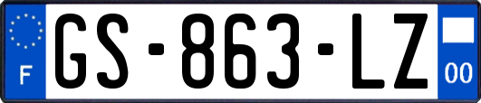 GS-863-LZ