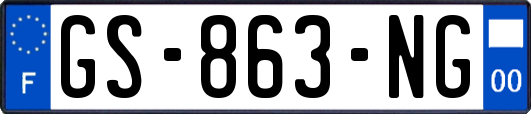 GS-863-NG