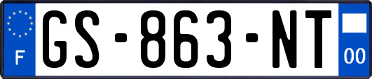 GS-863-NT