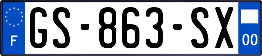 GS-863-SX