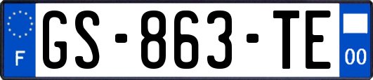 GS-863-TE