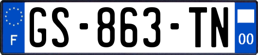 GS-863-TN