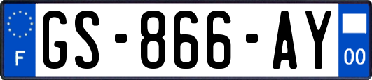 GS-866-AY