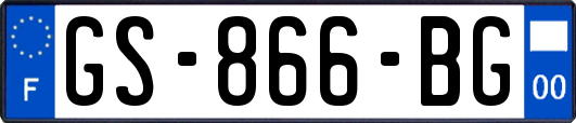 GS-866-BG