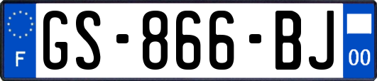 GS-866-BJ