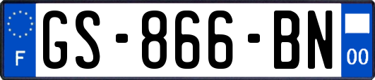 GS-866-BN