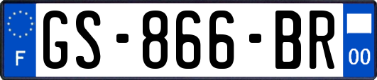 GS-866-BR