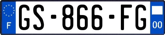 GS-866-FG
