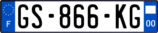 GS-866-KG
