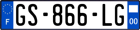 GS-866-LG