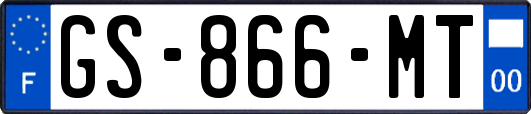 GS-866-MT