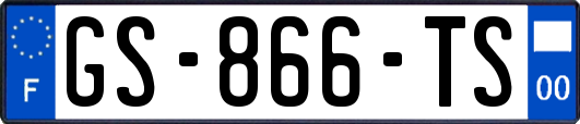 GS-866-TS