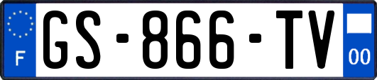 GS-866-TV