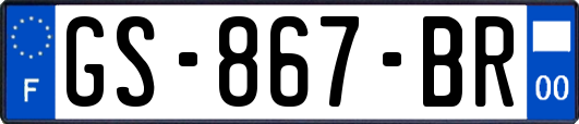 GS-867-BR