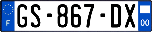 GS-867-DX