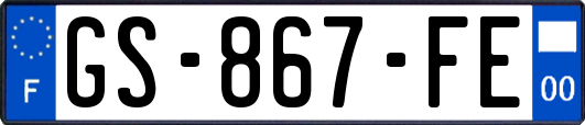 GS-867-FE