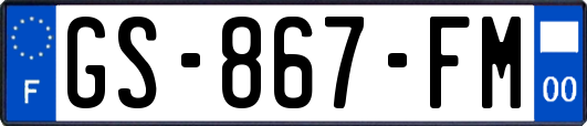 GS-867-FM