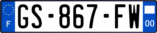 GS-867-FW