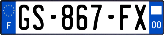 GS-867-FX