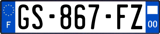 GS-867-FZ