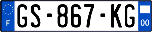 GS-867-KG