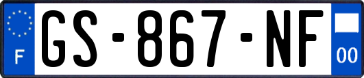 GS-867-NF