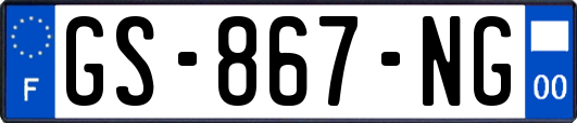 GS-867-NG