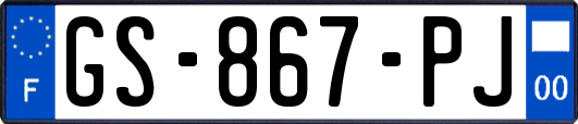 GS-867-PJ