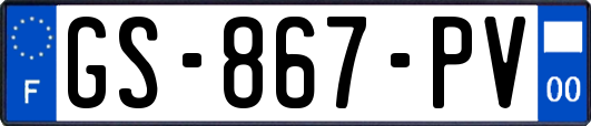 GS-867-PV