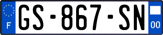 GS-867-SN