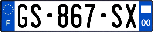 GS-867-SX