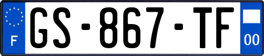 GS-867-TF